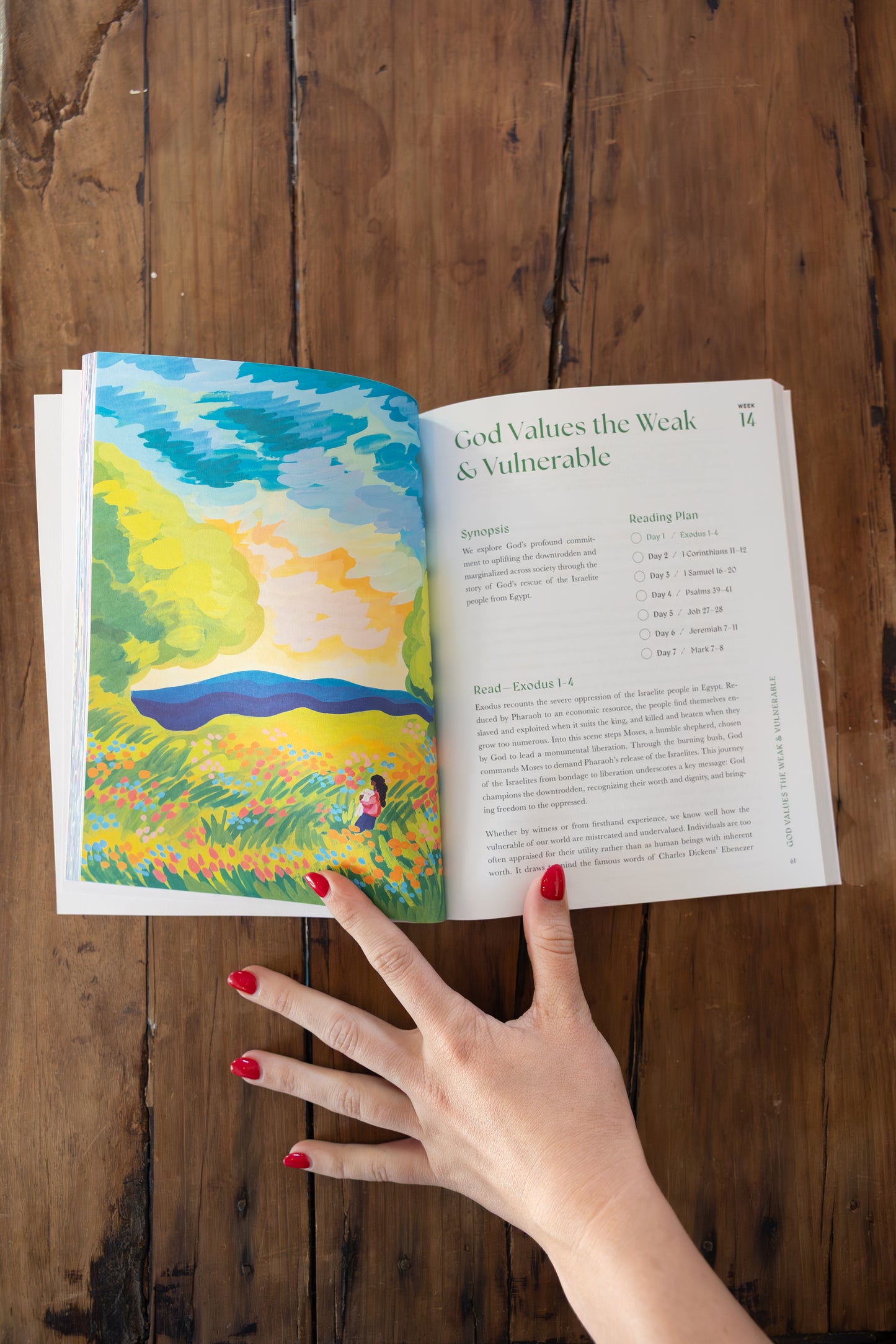 "A Beautiful Year in the Bible: The 52-Week Bible Study for Women"