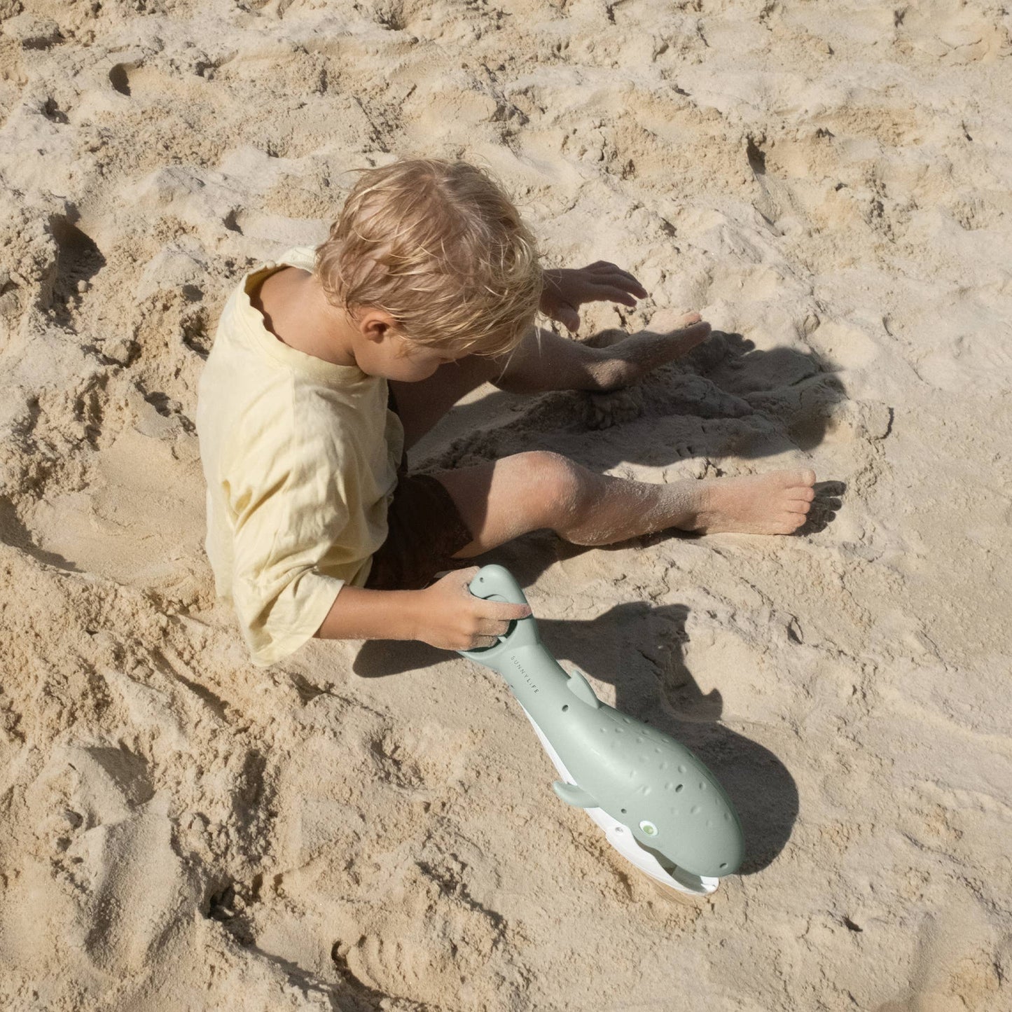 Whale Sand Claws