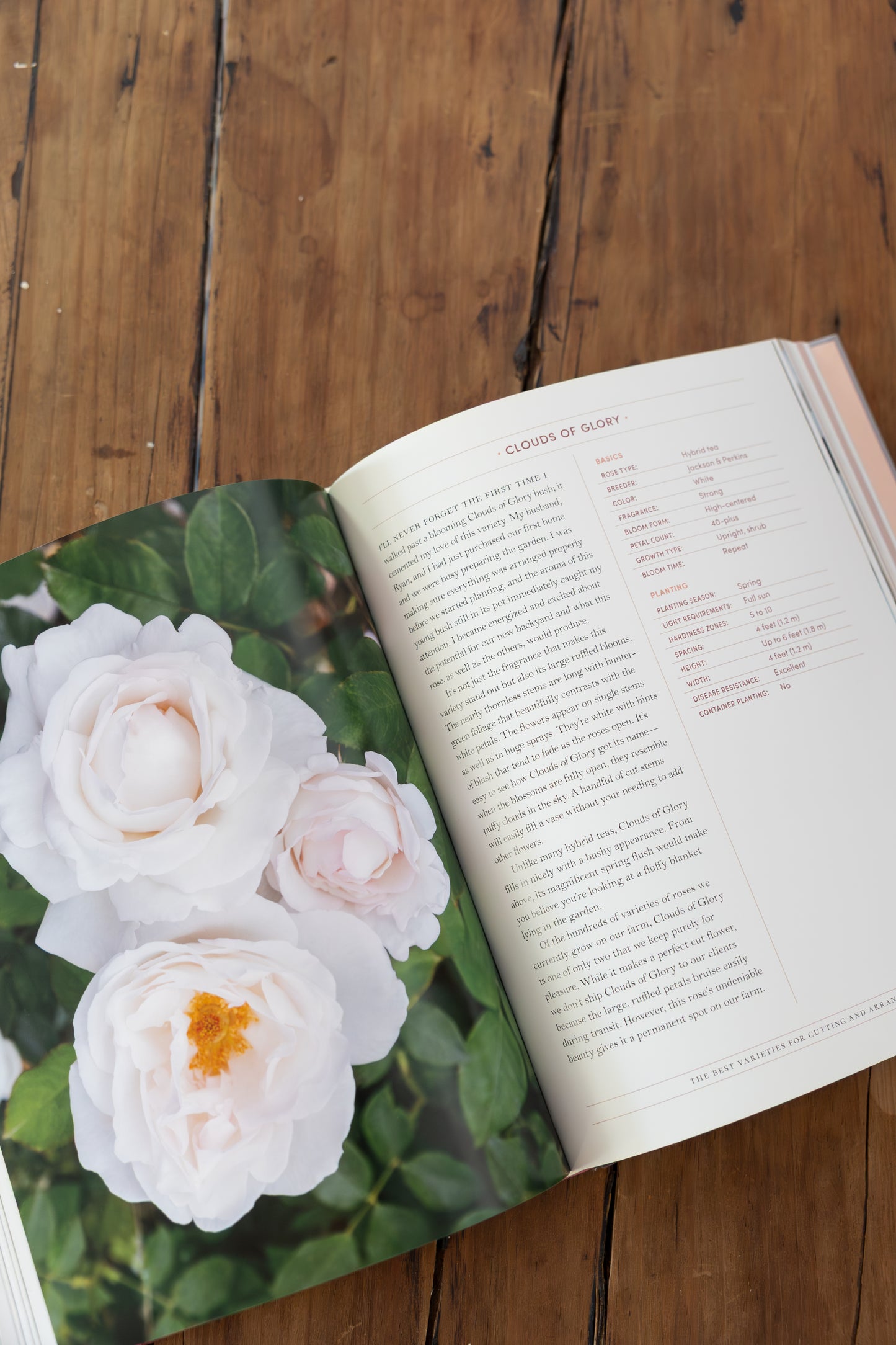Grace Rose Farm: Garden Roses