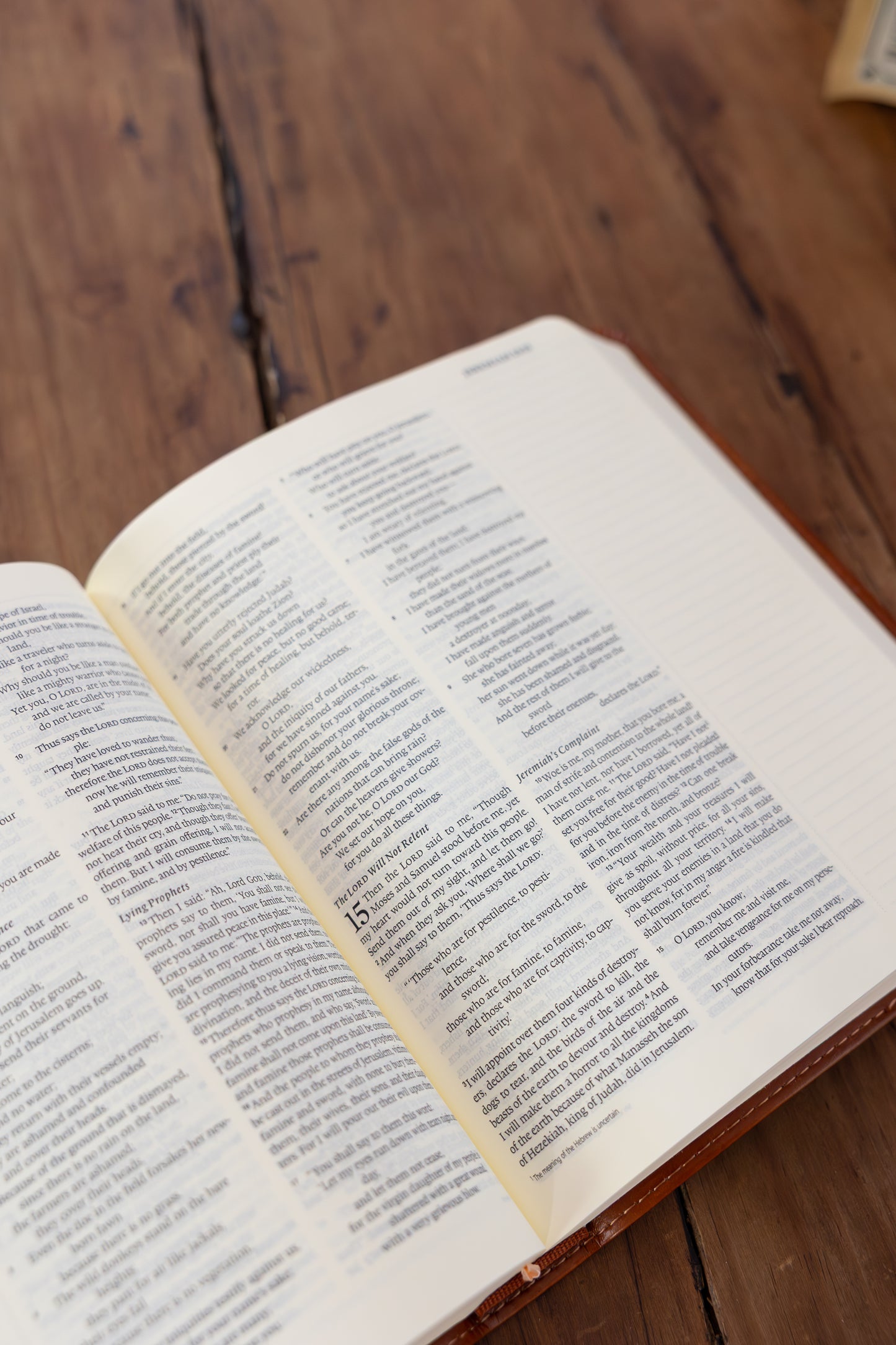 ESV Journaling Bible, Sierra Theme