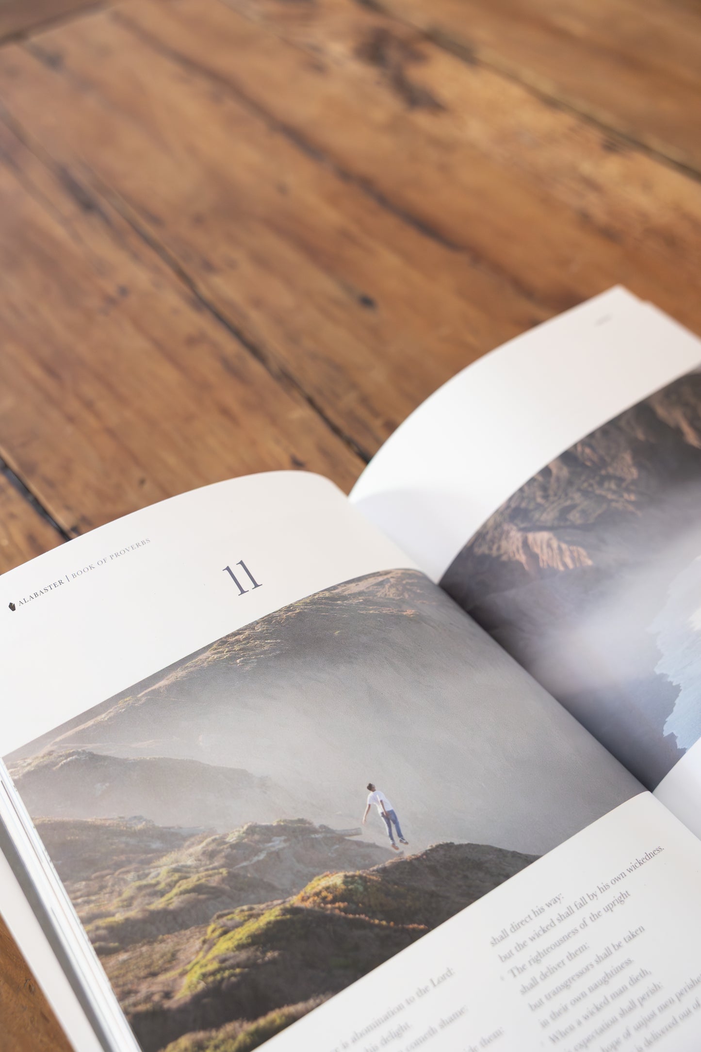 "The Book of Proverbs" Book