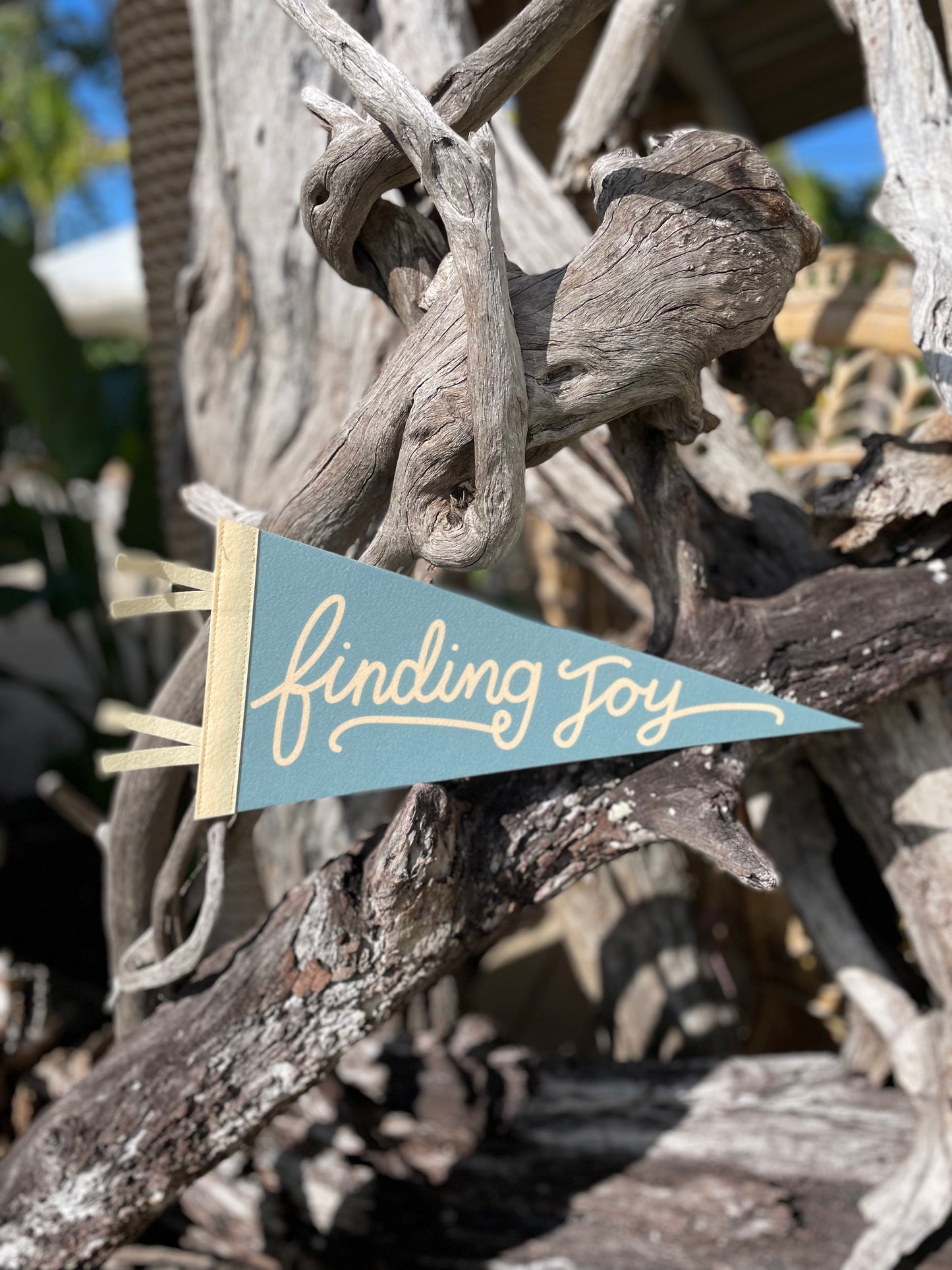 The Fox M Pennant Flags, Three Styles