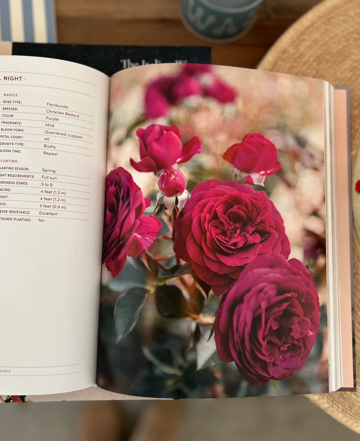"Grace Rose Farm: Garden Roses" Book