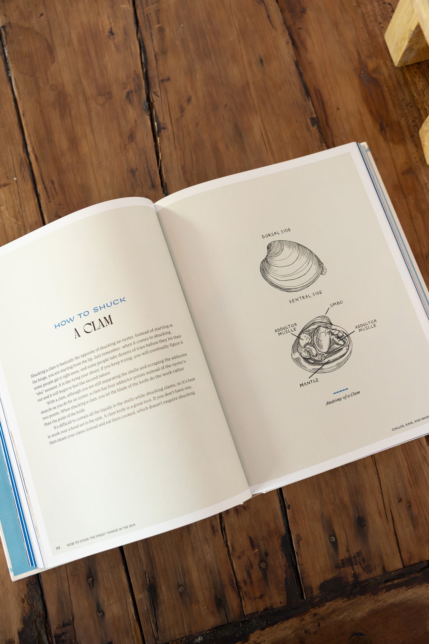 "How to Cook the Finest Things in the Sea" Book