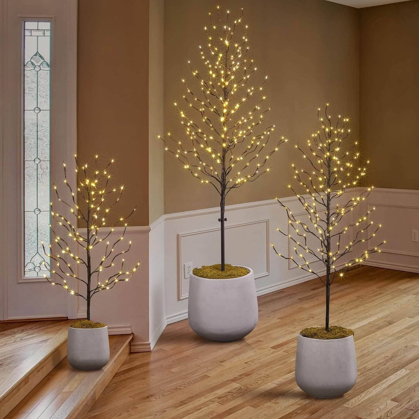 Star Light Tree