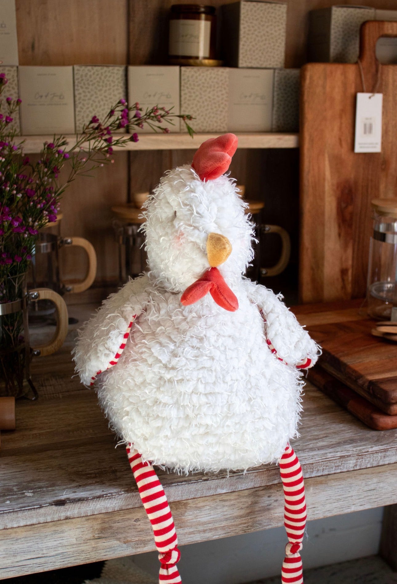 Big Clucky the Chicken