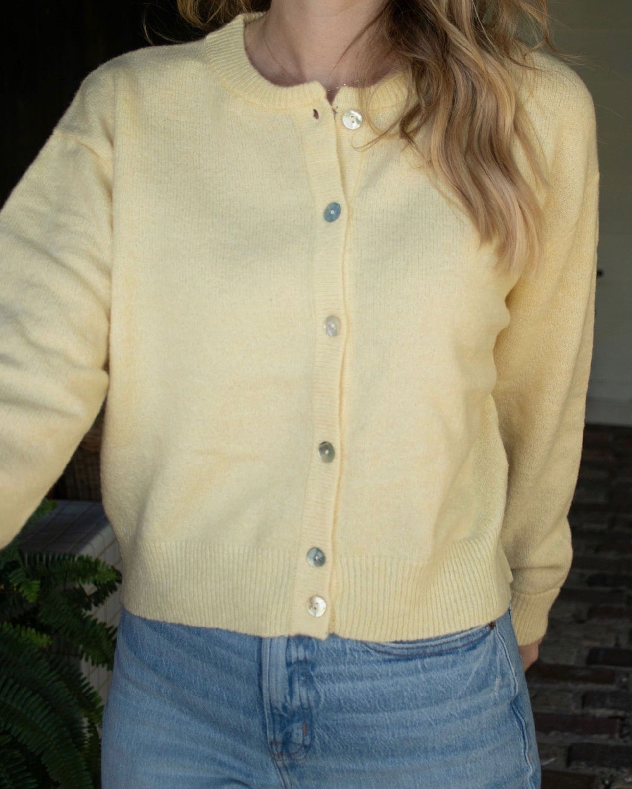 Knit Crew Neck Cardigan