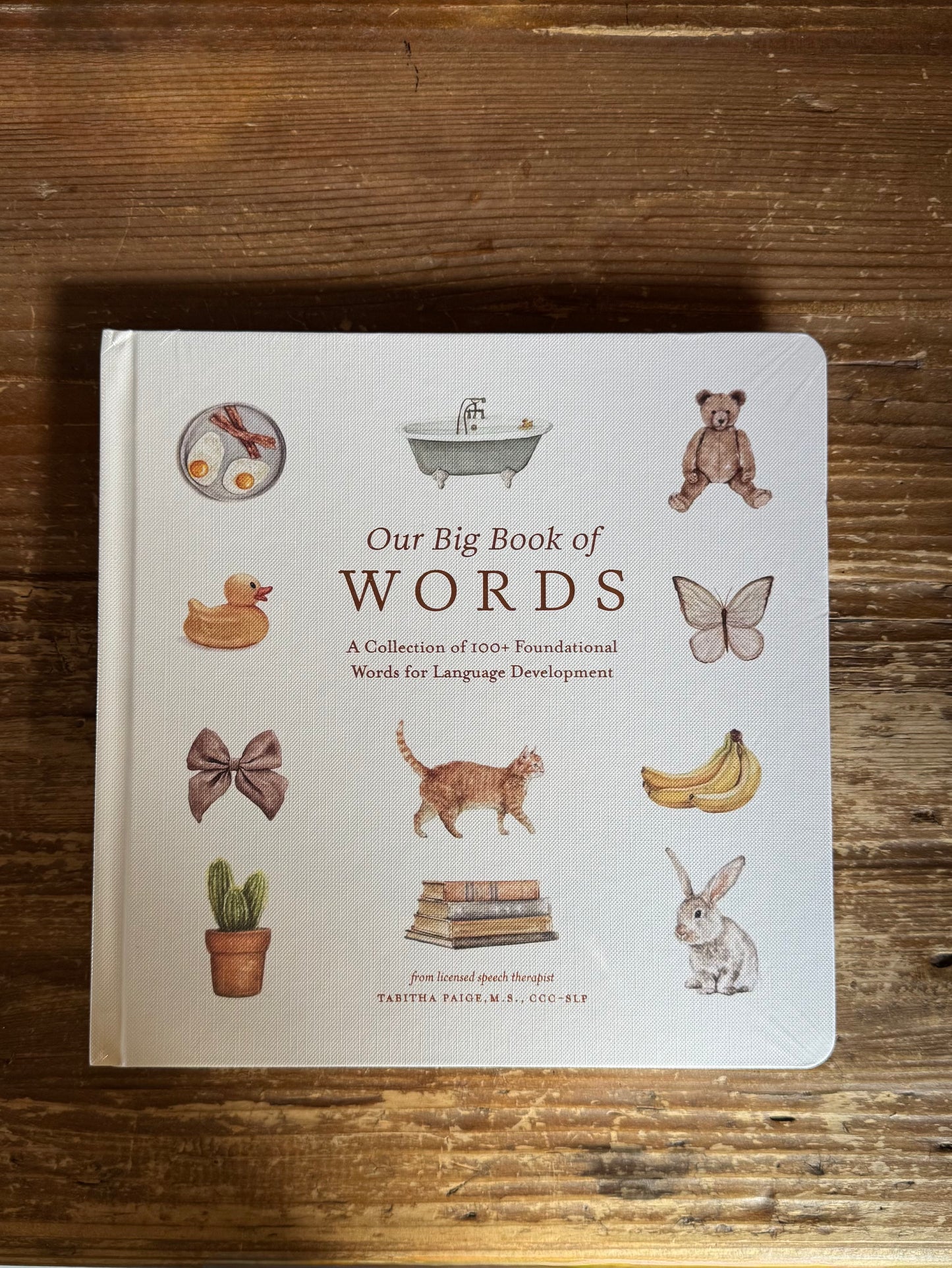 Our Big Book of First Words (Baby Board Book)