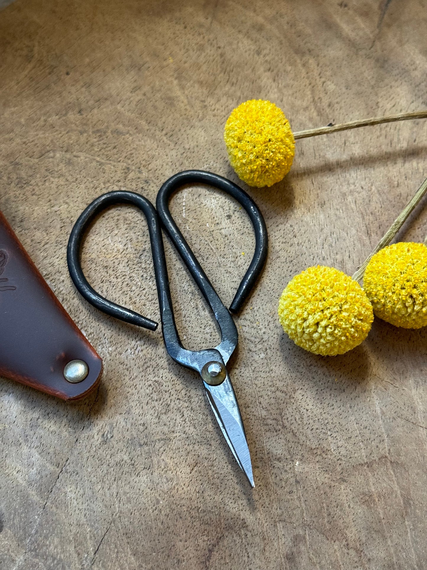 Scissors in Leather Pouch