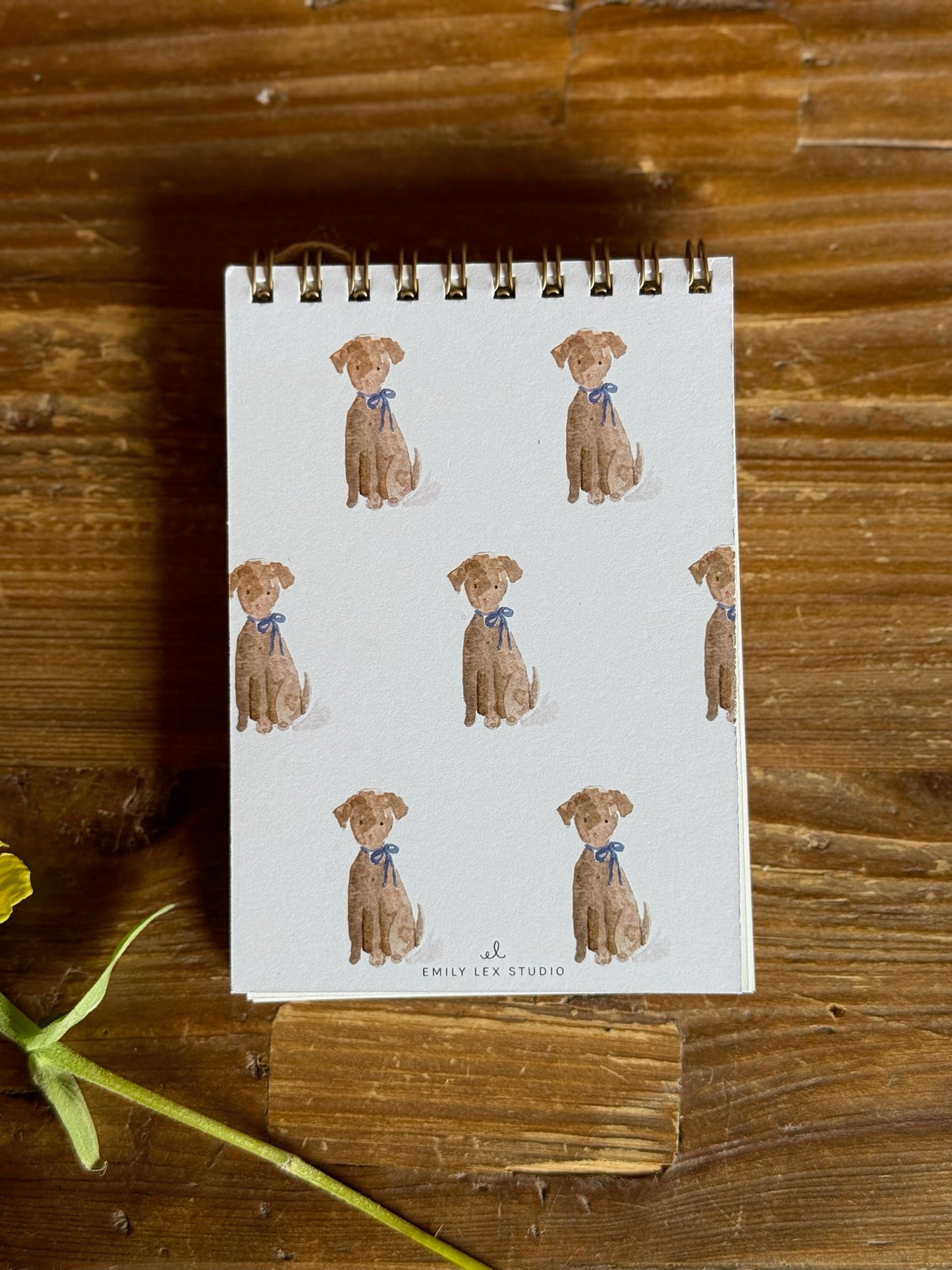 Mini Jotter Pad, 3 Styles