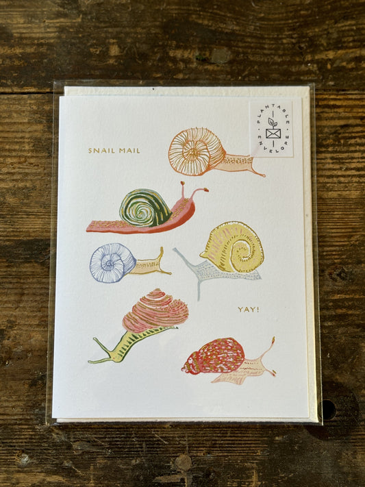 “Snail Mail” Card