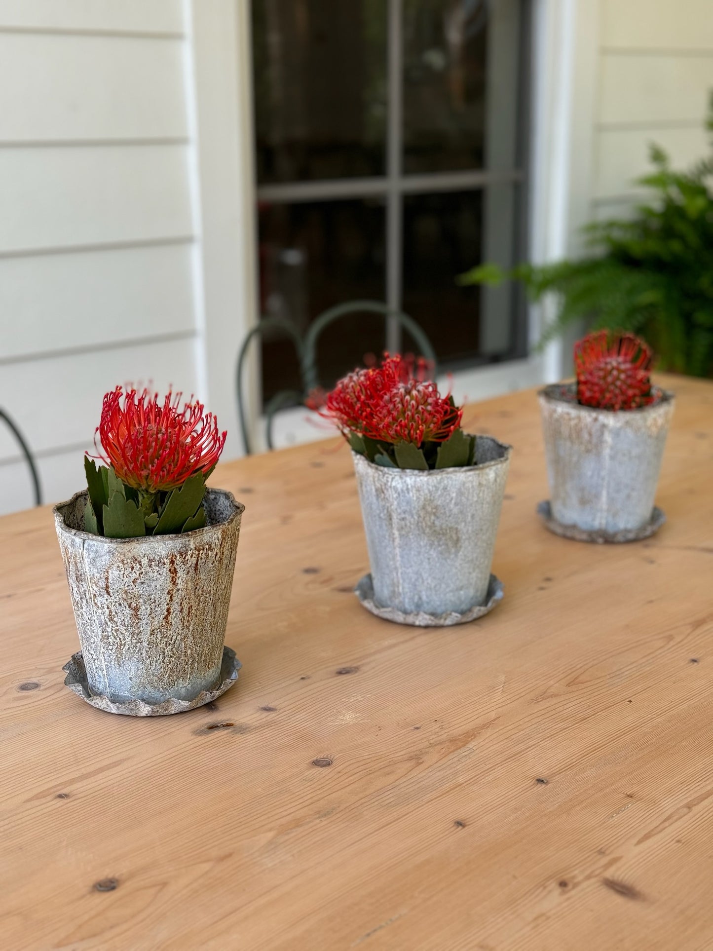 Distressed Metal Pot with Pleated Saucer