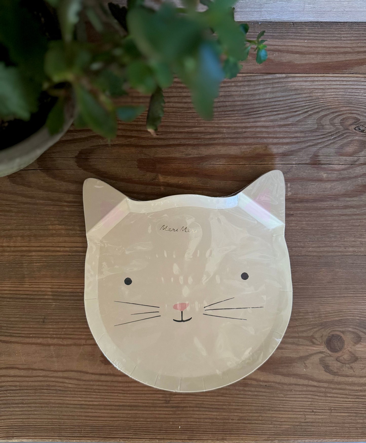 Cute Kitten Paper Plates