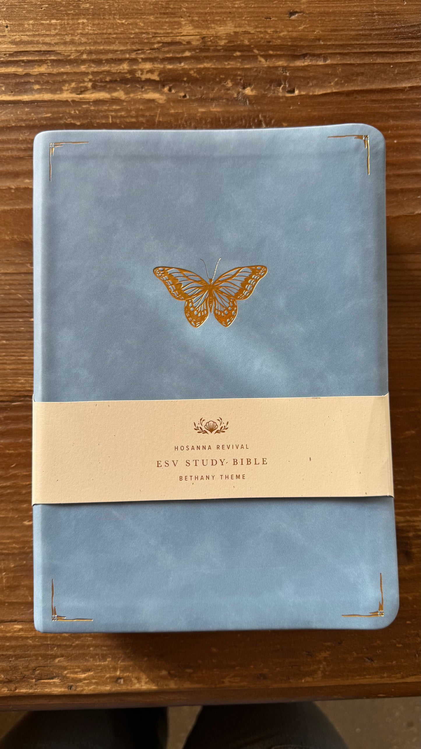 ESV Study Bible: Bethany Theme