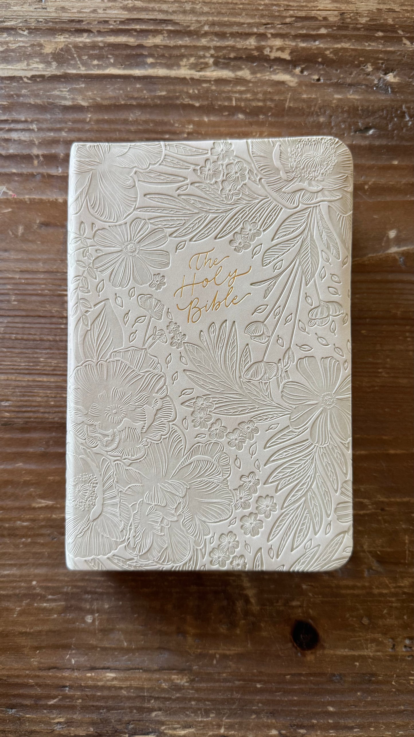 NLT Compact Bible: Sonora Theme