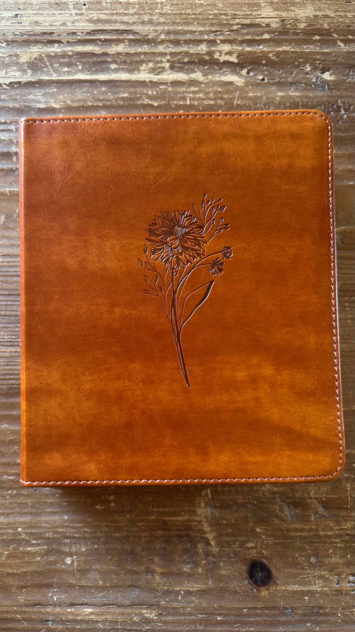 ESV Journaling Bible: Sierra Theme