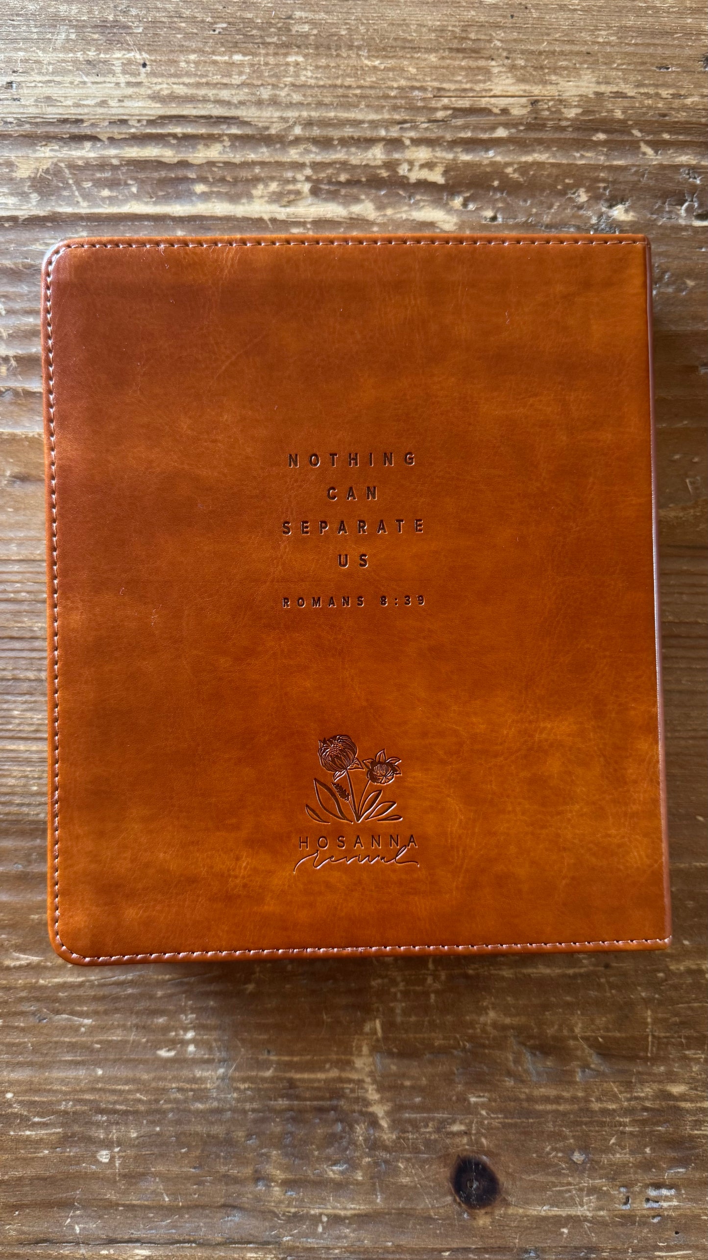 ESV Journaling Bible: Sierra Theme