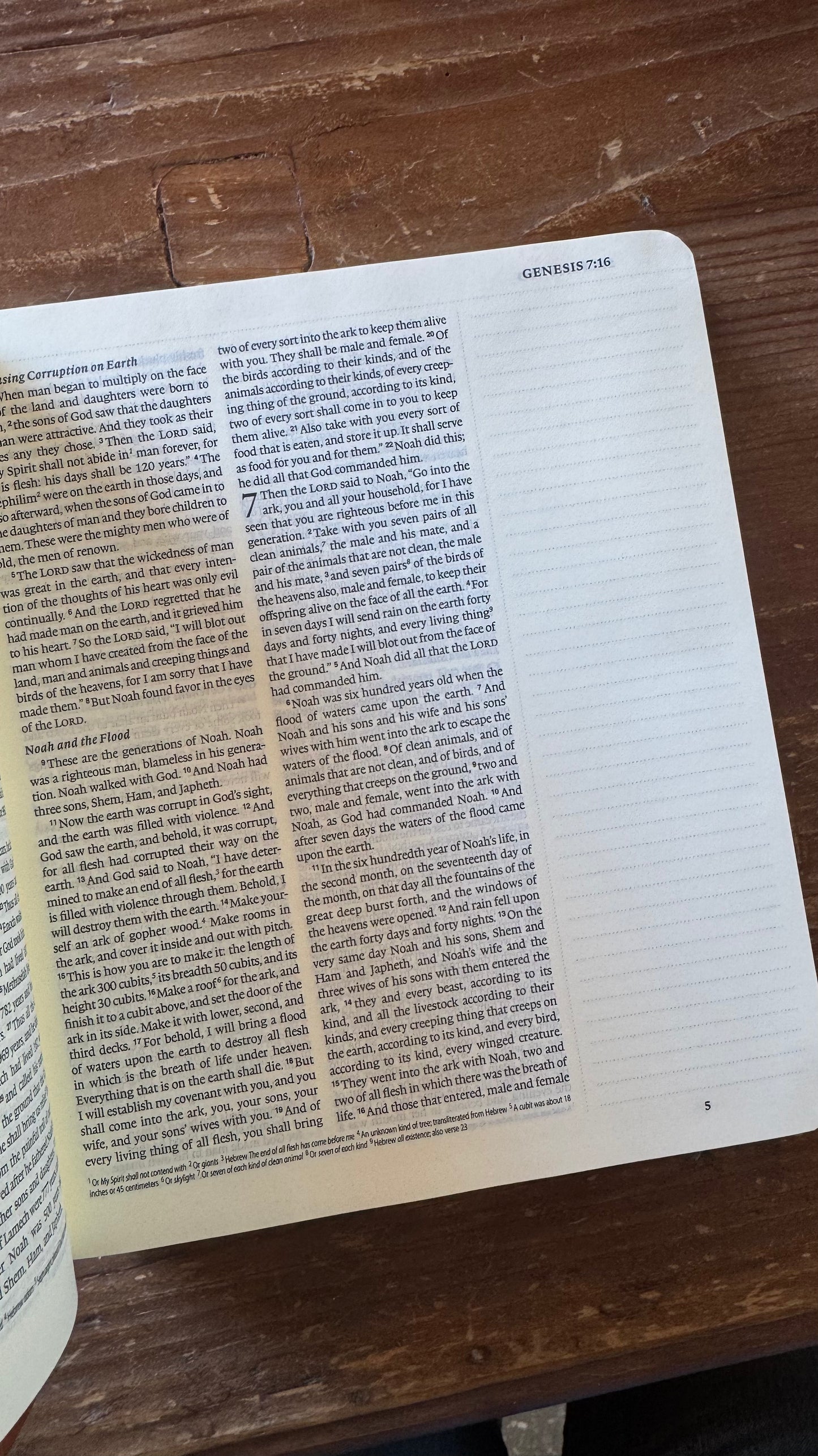 ESV Journaling Bible: Sierra Theme