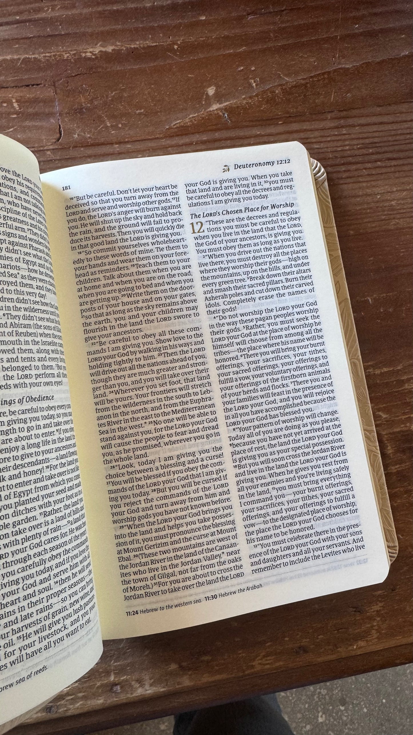 NLT Compact Bible: Sonora Theme