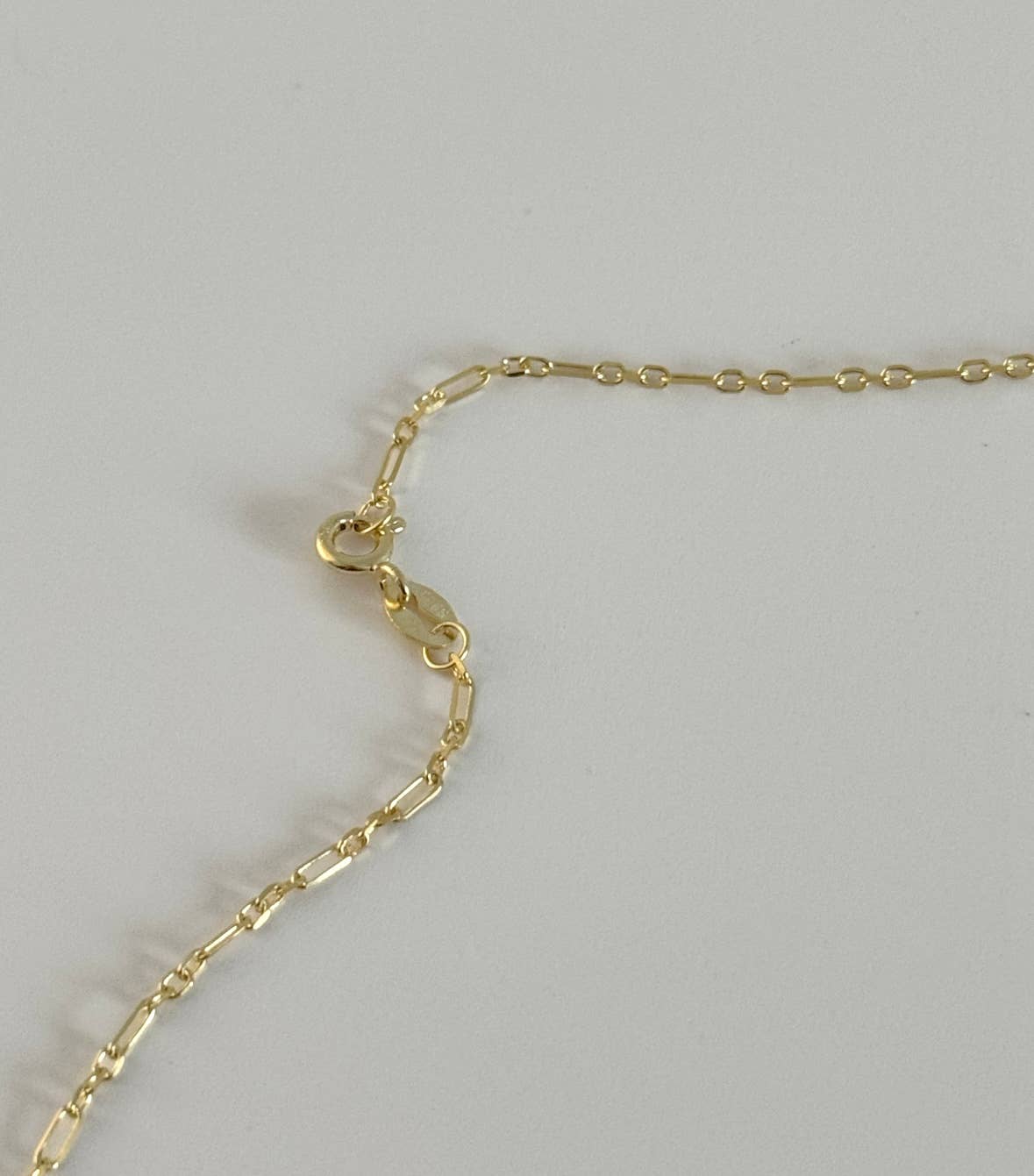 Siesta Seashell Necklace 