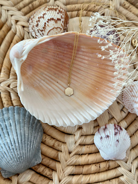 The Mini Shell Pendant Necklace by Sarah O