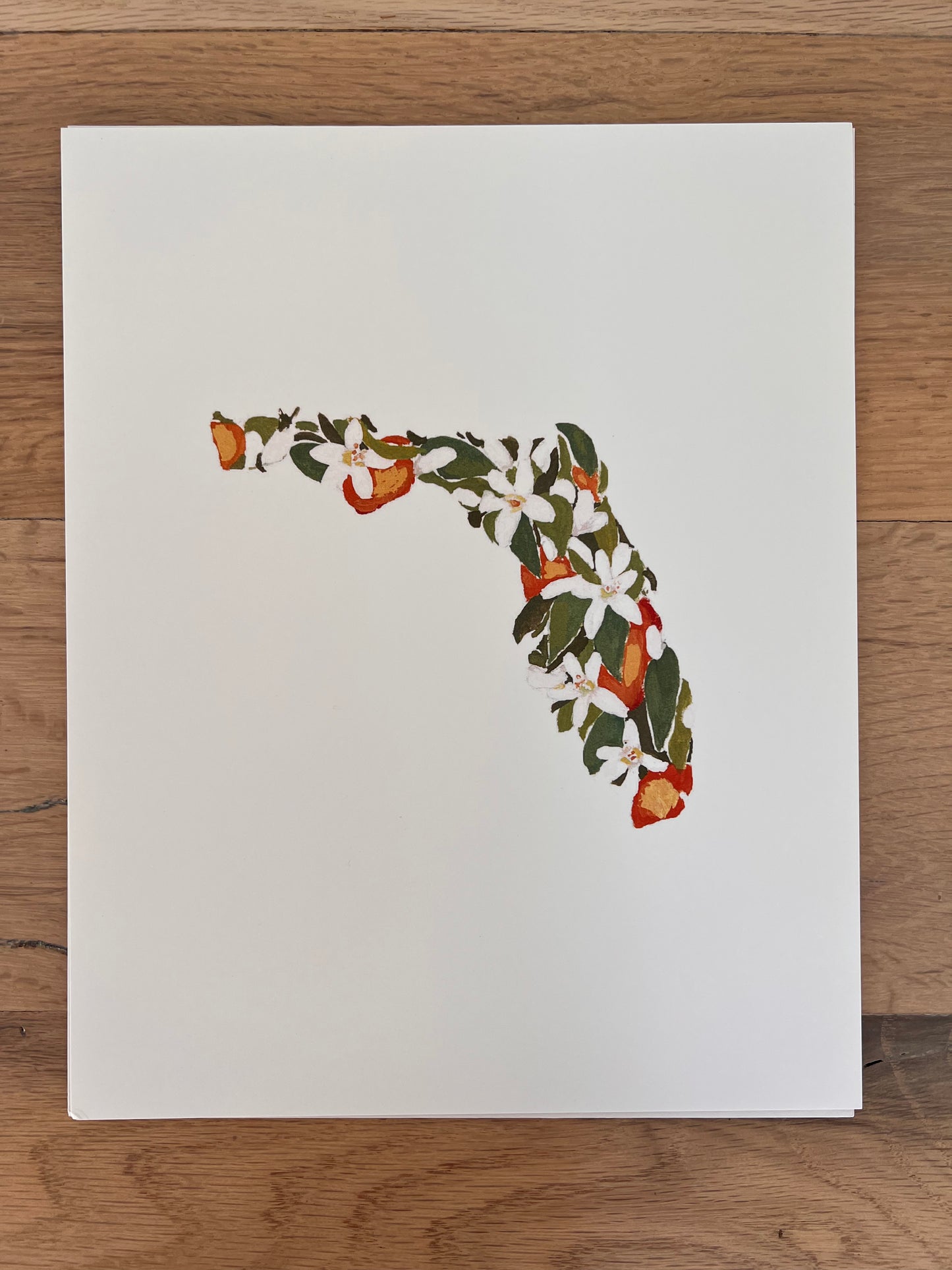 Florida State Flower Print