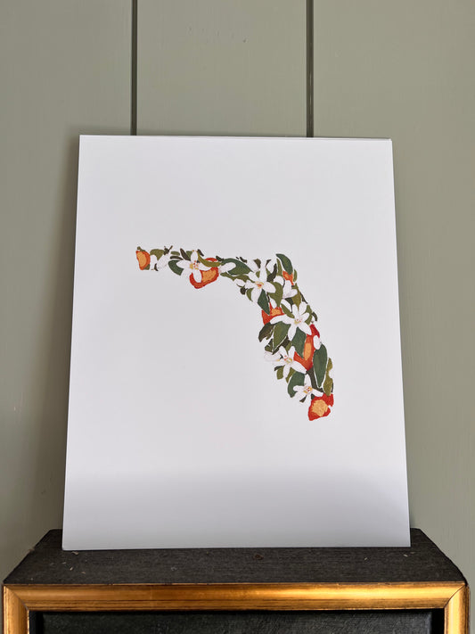 8x10 Florida State Flower Print